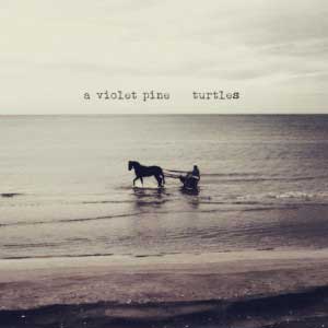 A_VIOLET_PINE_turtles