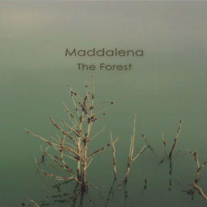 maddalena the forest