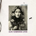 Alice_Tambourine_Lover_like_a_rose