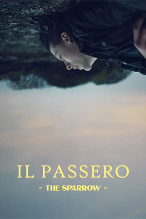 il passero